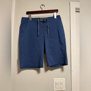 Patagonia Men's Blue Board Shorts